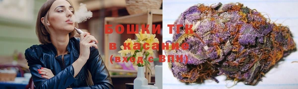гидропоника Белокуриха