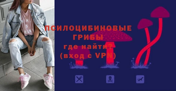 гидропоника Белокуриха