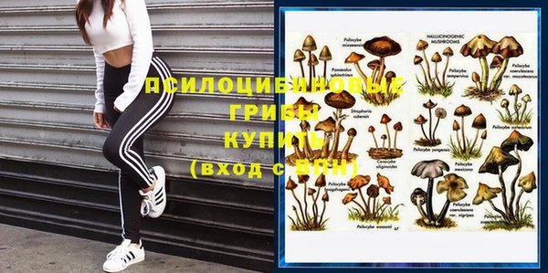 мяу мяу мука Белоозёрский