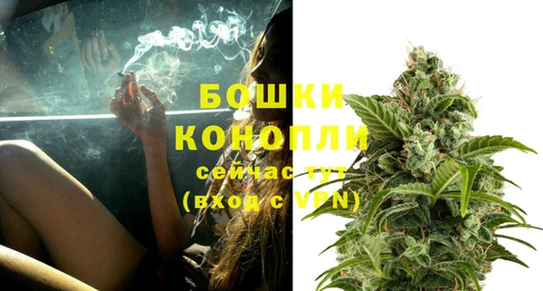 гидропоника Белокуриха