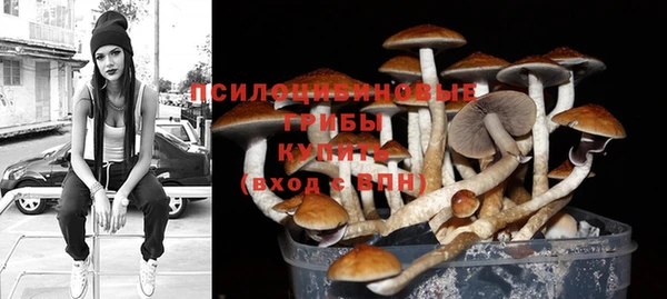 гидропоника Белокуриха