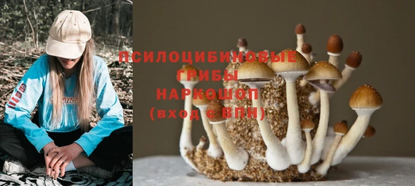 мяу мяу мука Белоозёрский