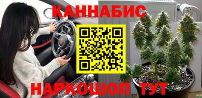 шишки Апрелевка