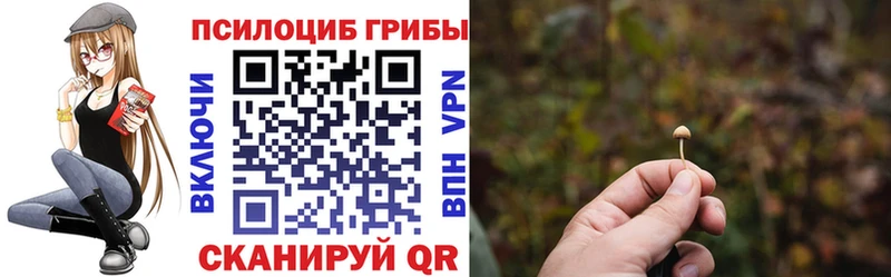 Галлюциногенные грибы мухоморы  где продают наркотики  Волжск 