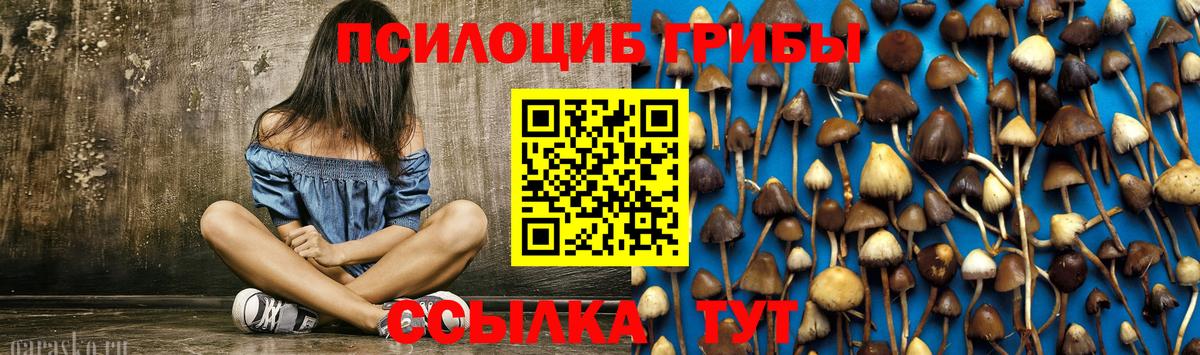 Галлюциногенные грибы Psilocybe Волжск