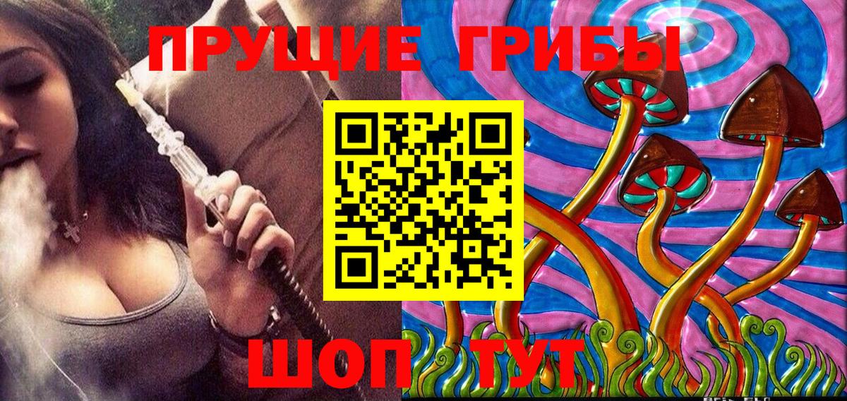 Галлюциногенные грибы Psilocybe  Вход с VPN  Волжск  дарнет шоп  Псилоцибиновые грибы мухоморы 